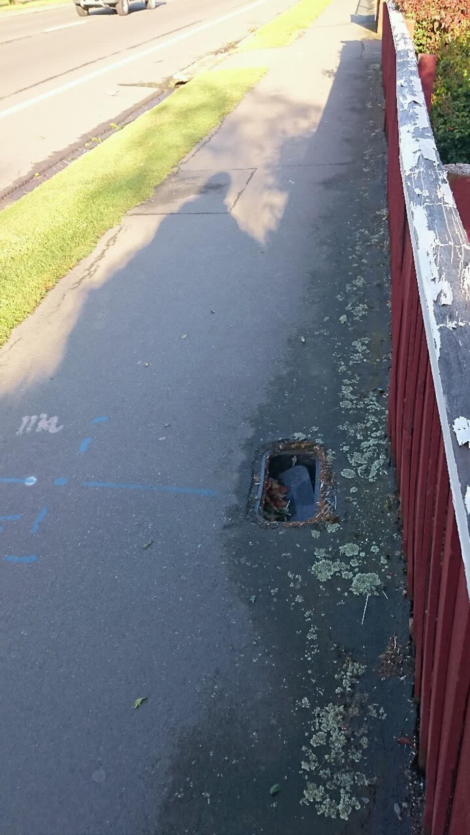 The photograph attached to this roading/streets report