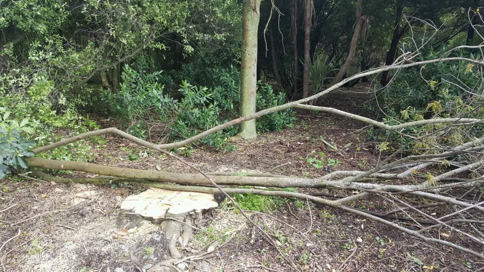 The photograph attached to this parks report