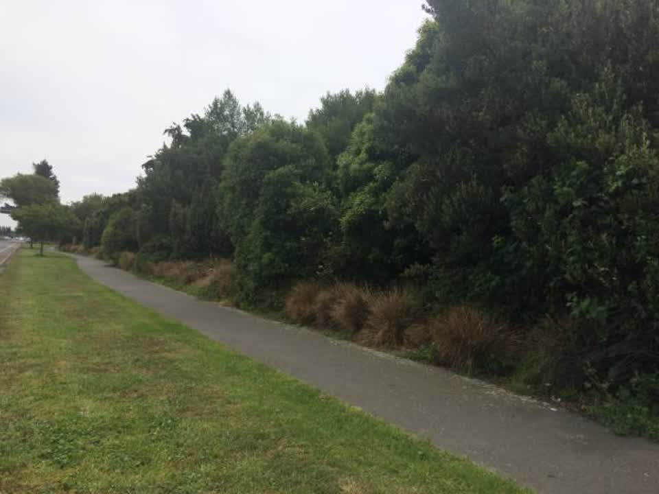 The photograph attached to this parks report