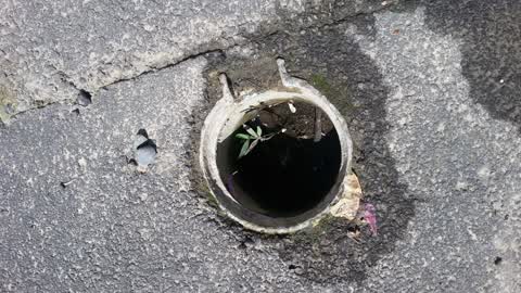 Water Supply, a report photo