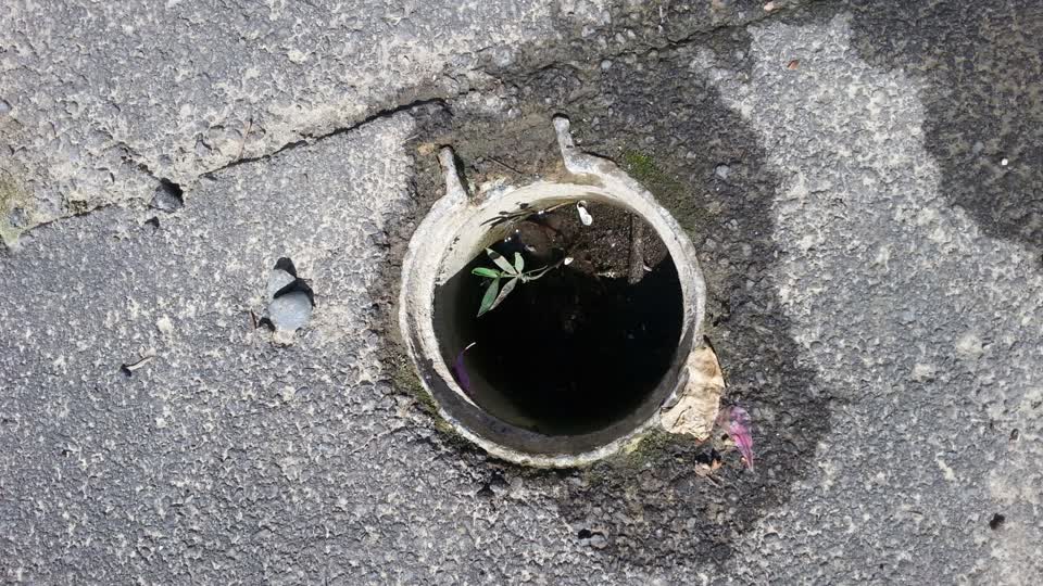 The photograph attached to this water supply report