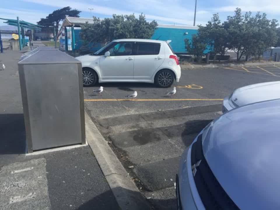 The photograph attached to this parks report