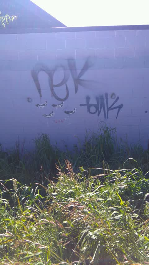 Graffiti, a report photo