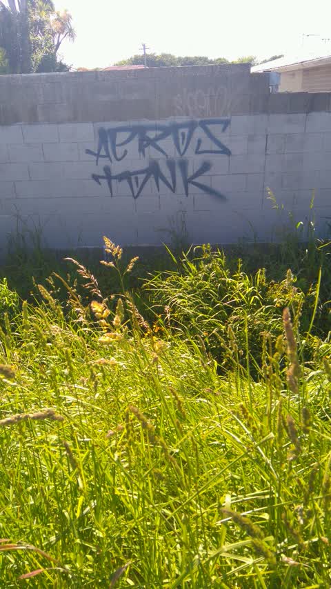 Graffiti, a report photo