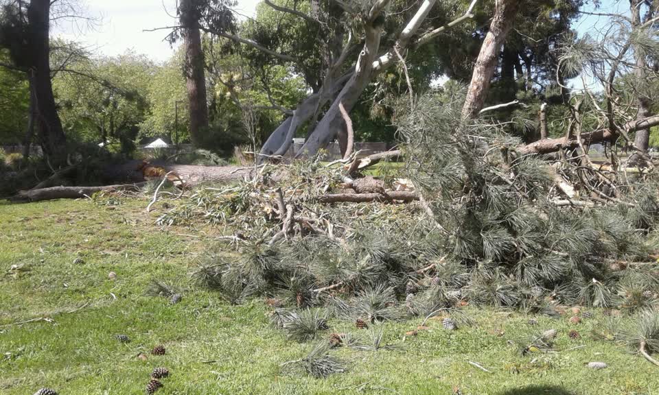 The photograph attached to this parks report
