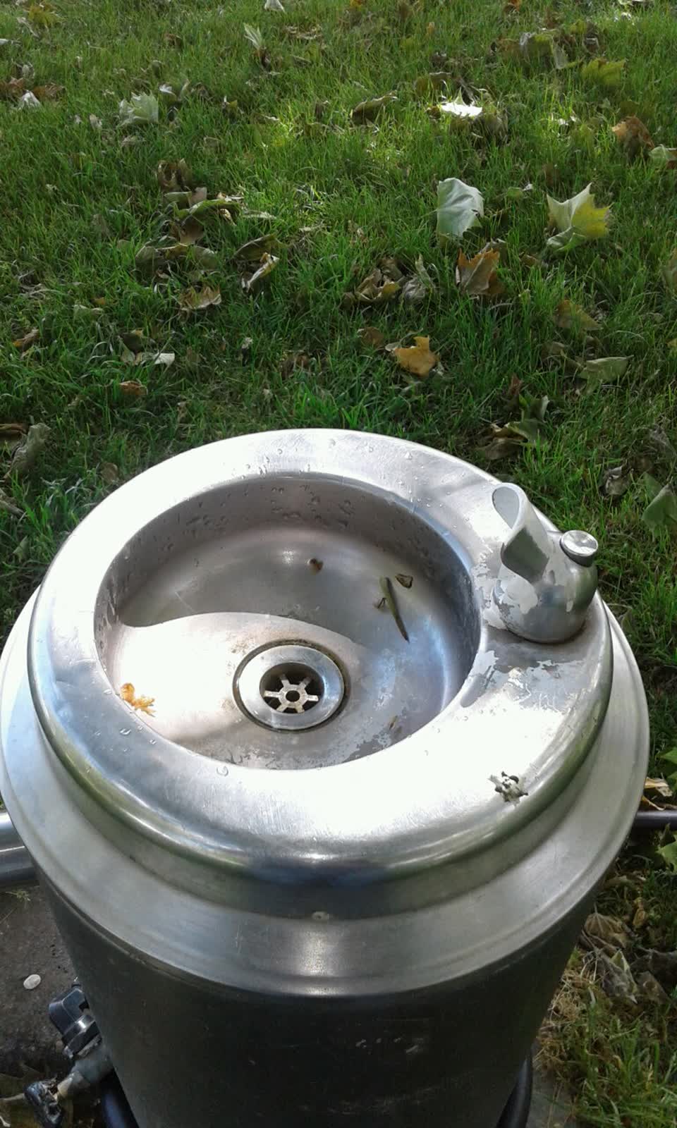 The photograph attached to this parks report