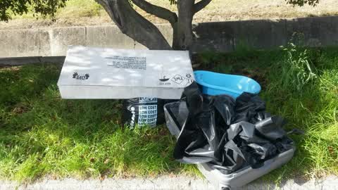 Rubbish/Recycling — a report photo
