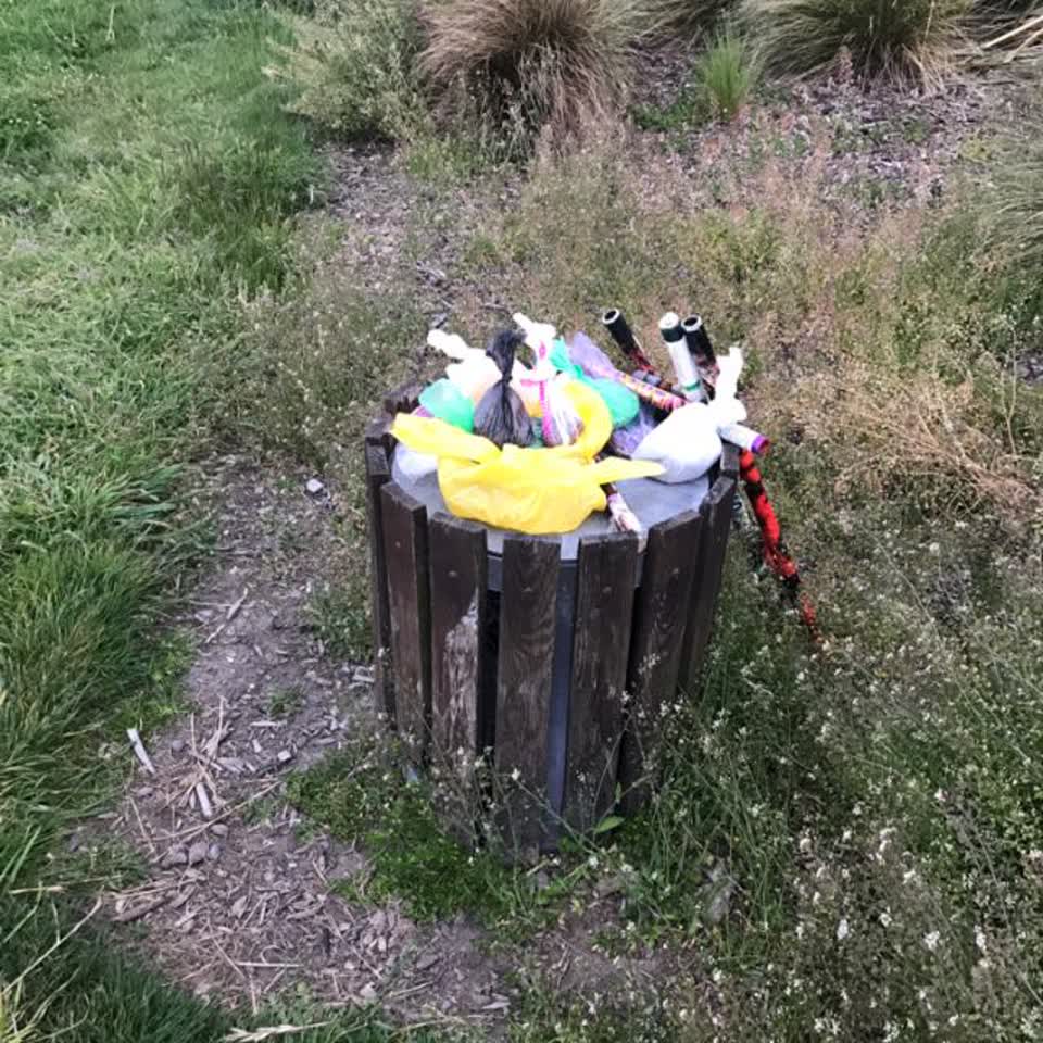 The photograph attached to this parks report