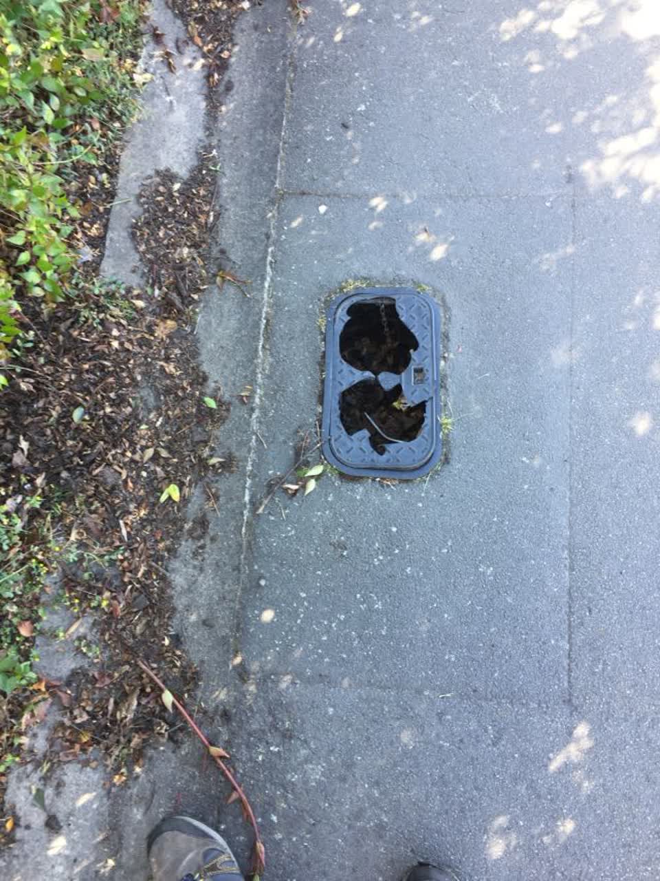 The photograph attached to this roading/streets report