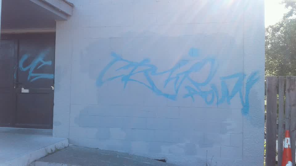 The photograph attached to this graffiti report