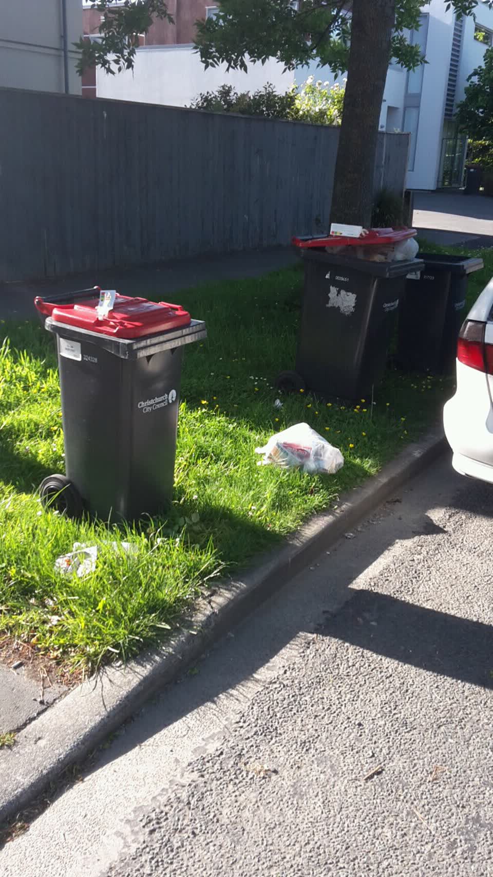 The photograph attached to this rubbish/recycling report