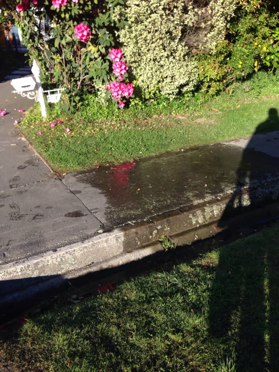 The photograph attached to this water supply report