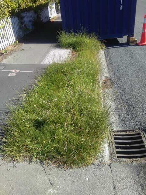 Roading/Streets, a report photo