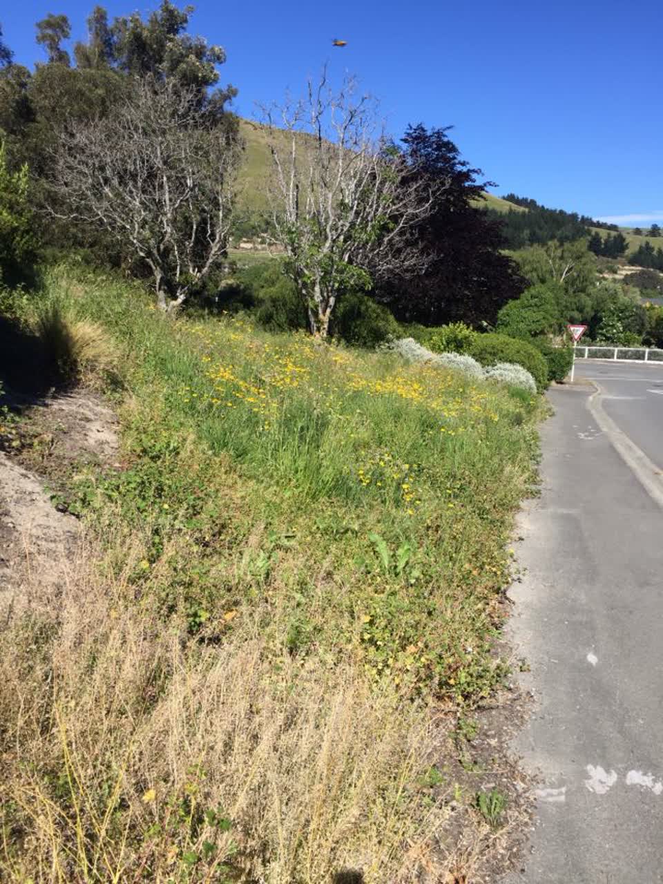 The photograph attached to this parks report