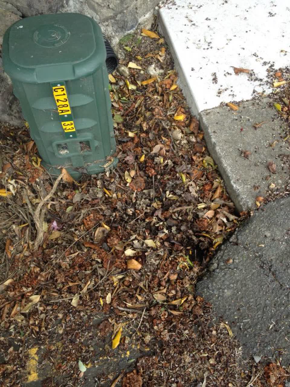The photograph attached to this wastewater/stormwater report