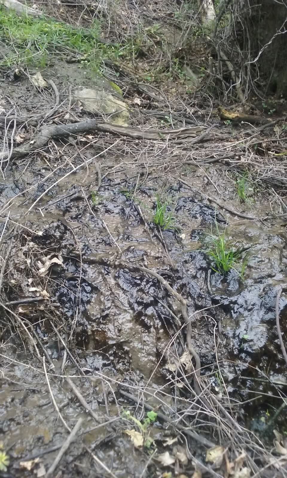 The photograph attached to this wastewater/stormwater report