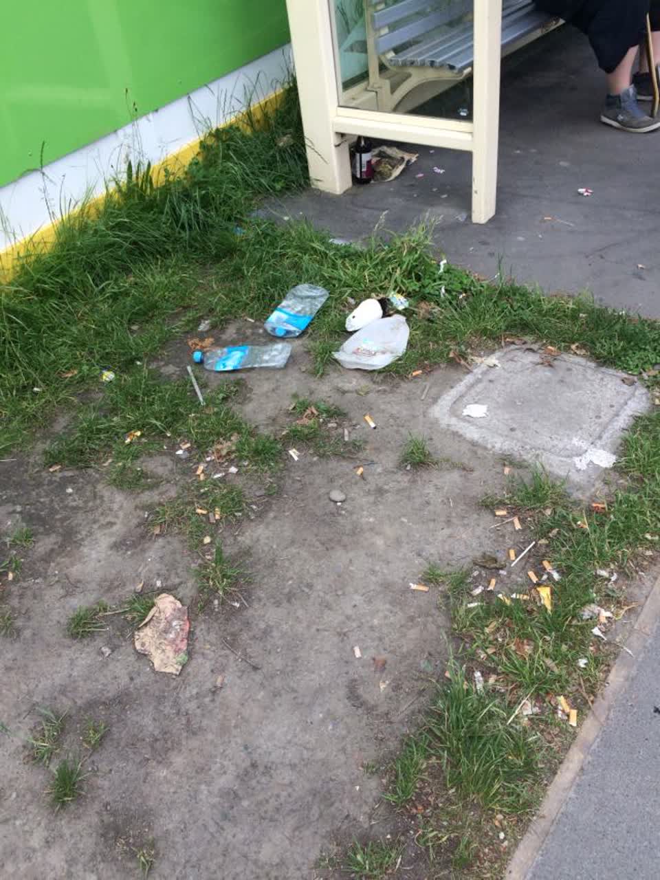 The photograph attached to this rubbish/recycling report