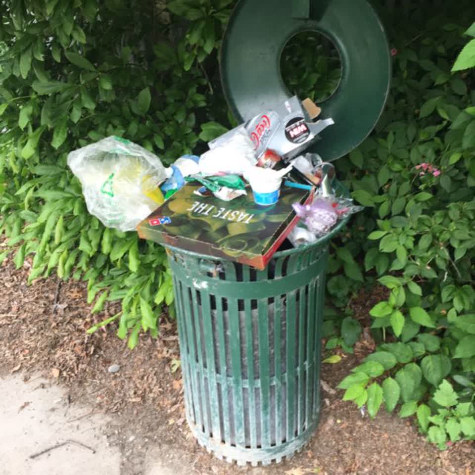 The photograph attached to this rubbish/recycling report