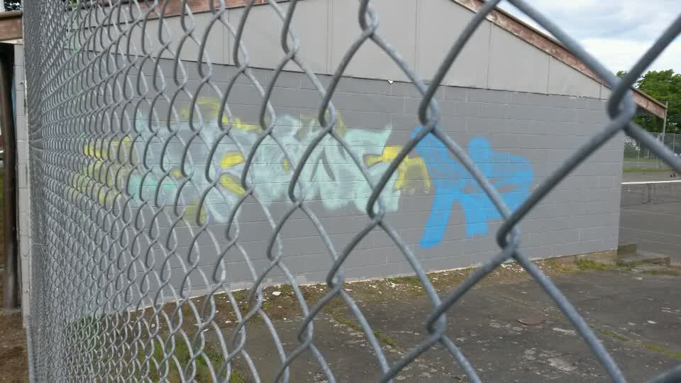 The photograph attached to this graffiti report