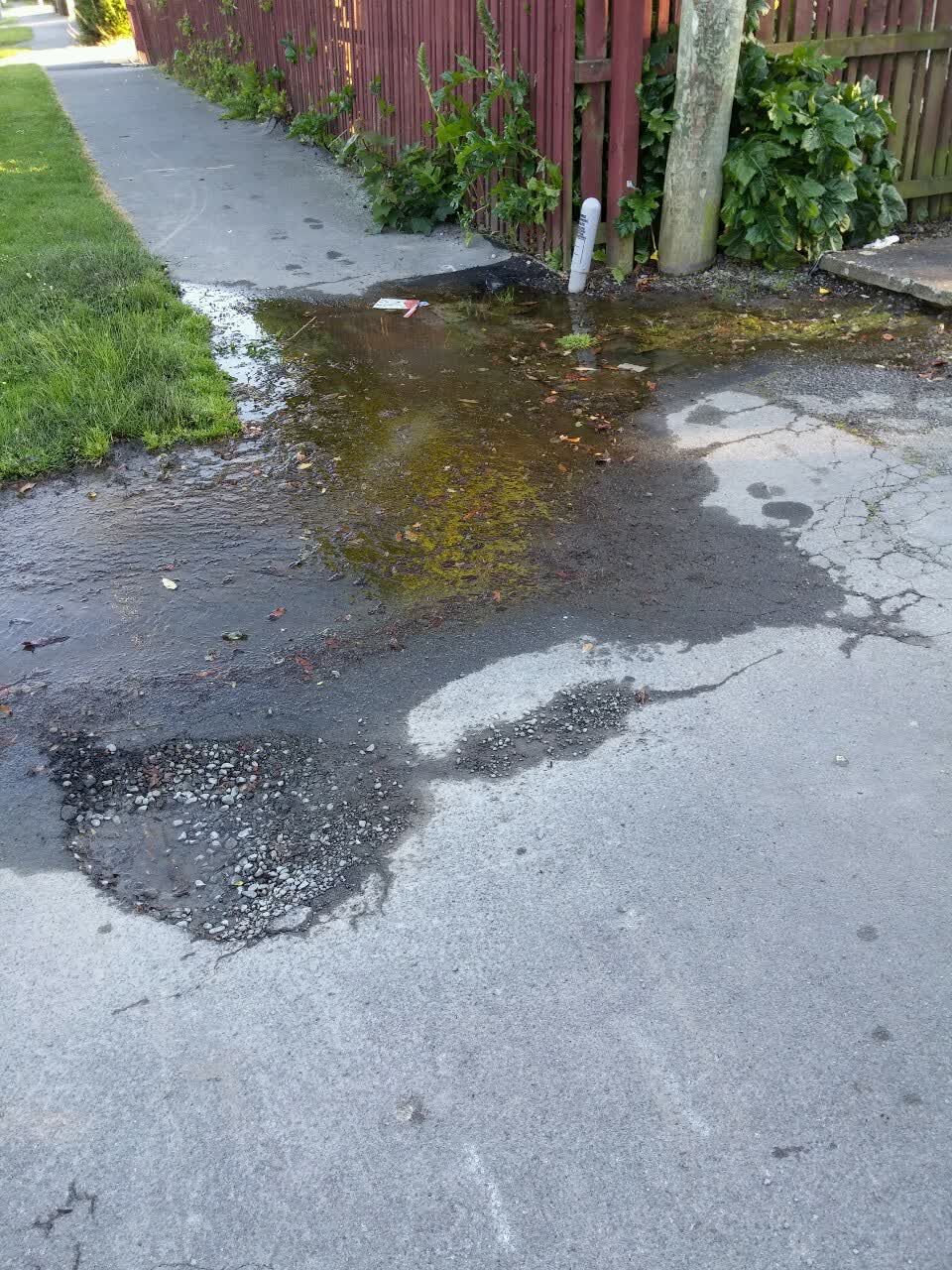 The photograph attached to this water supply report