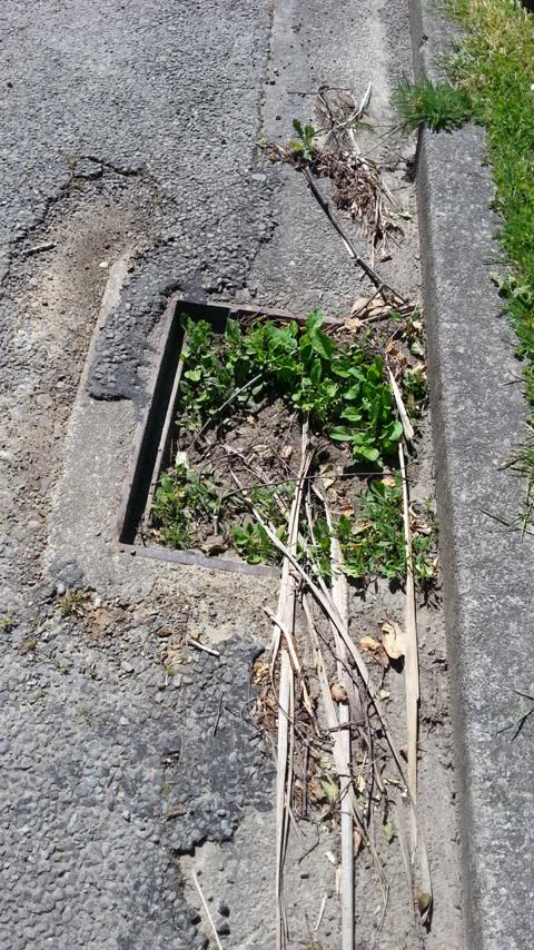 Roading/Streets, a report photo