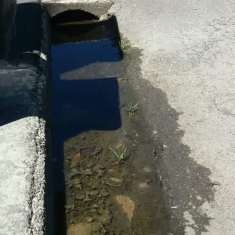 Wastewater/Stormwater, a report photo