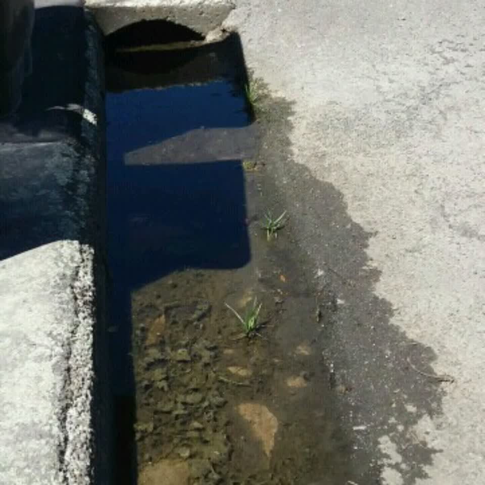 The photograph attached to this wastewater/stormwater report