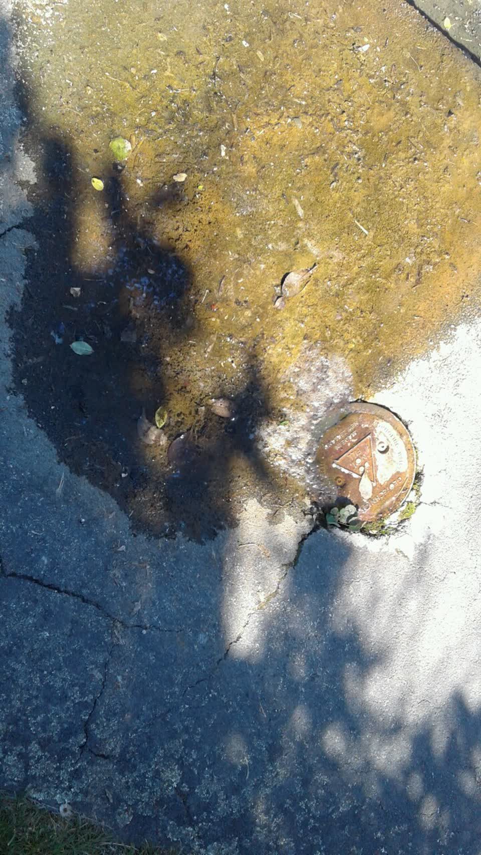The photograph attached to this water supply report