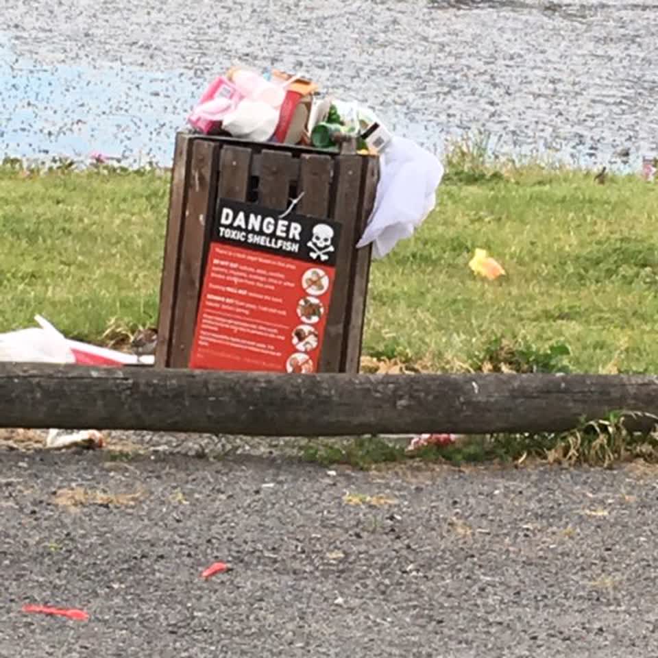 The photograph attached to this rubbish/recycling report