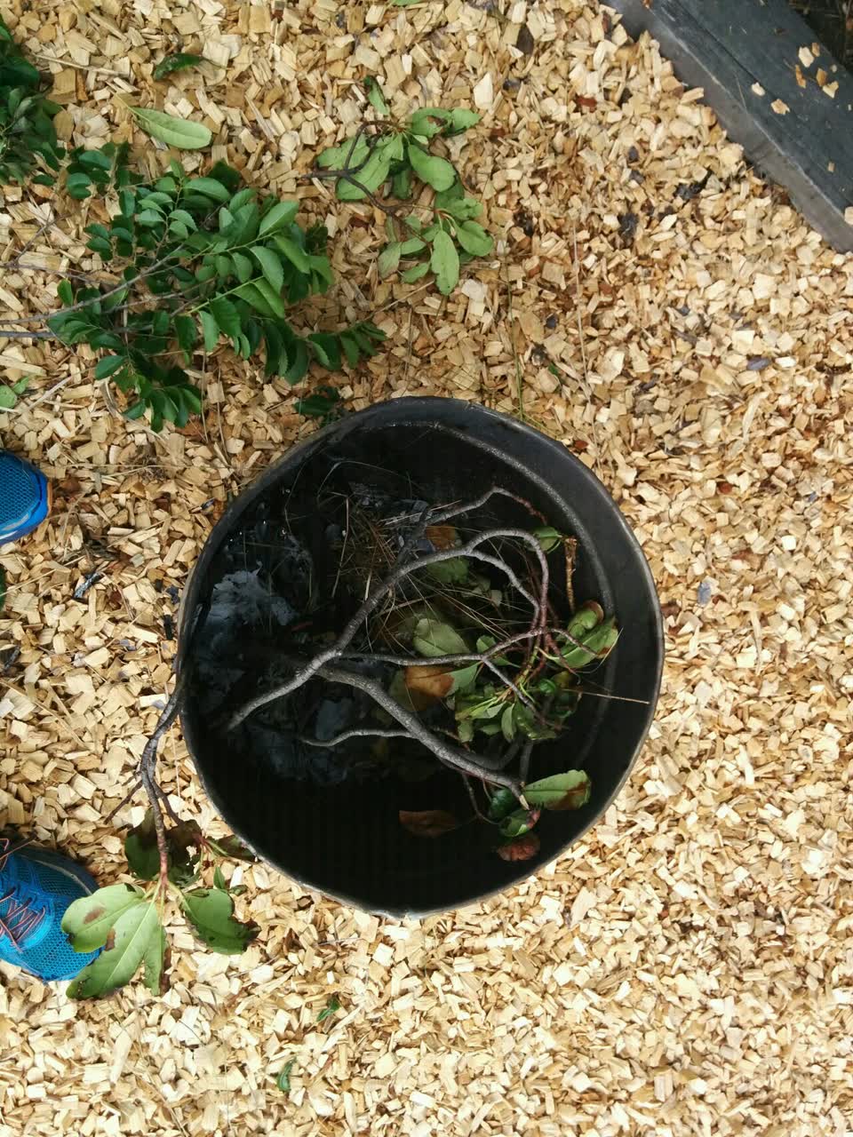 The photograph attached to this parks report