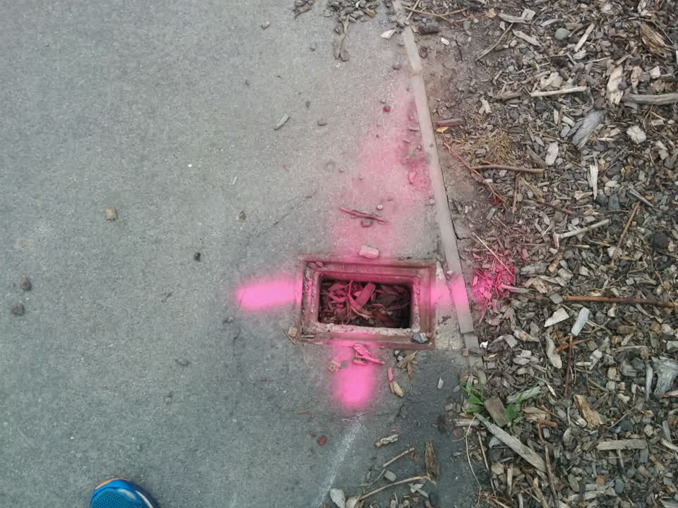 The photograph attached to this roading/streets report
