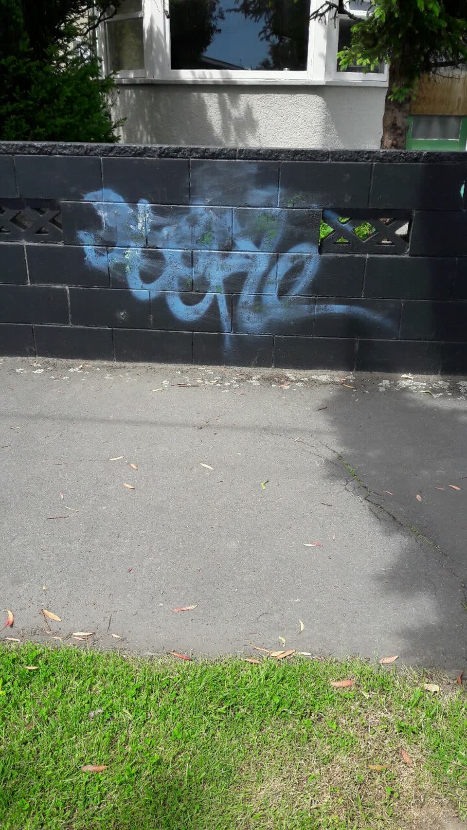 The photograph attached to this graffiti report