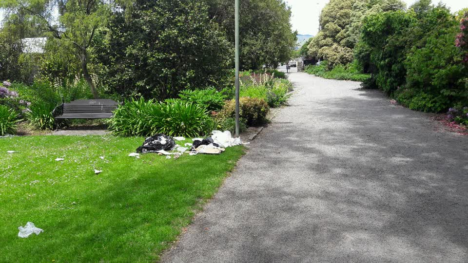 The photograph attached to this parks report