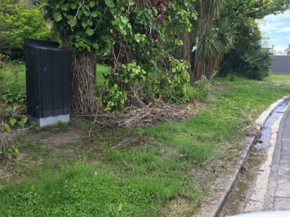 The photograph attached to this water supply report
