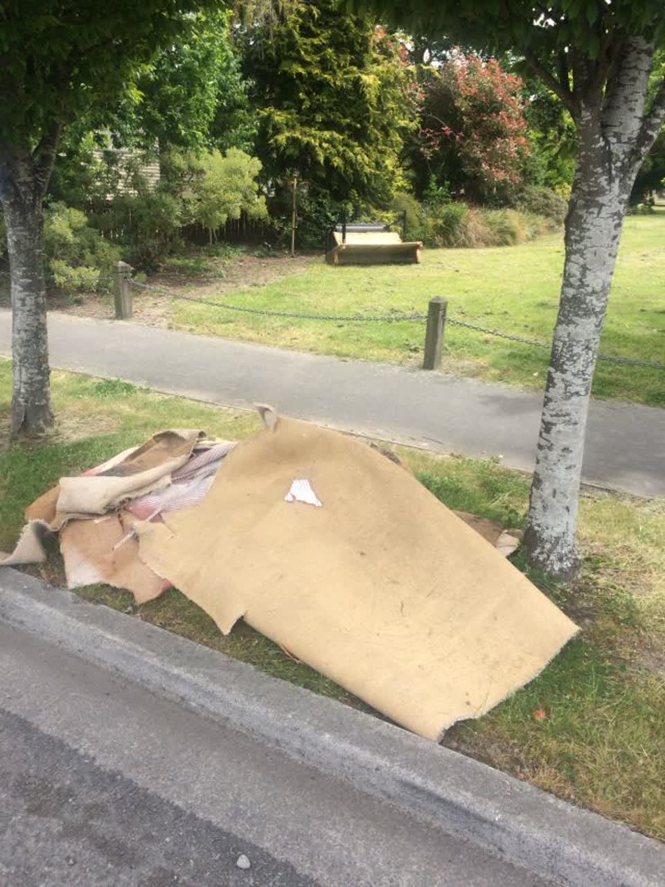 The photograph attached to this parks report