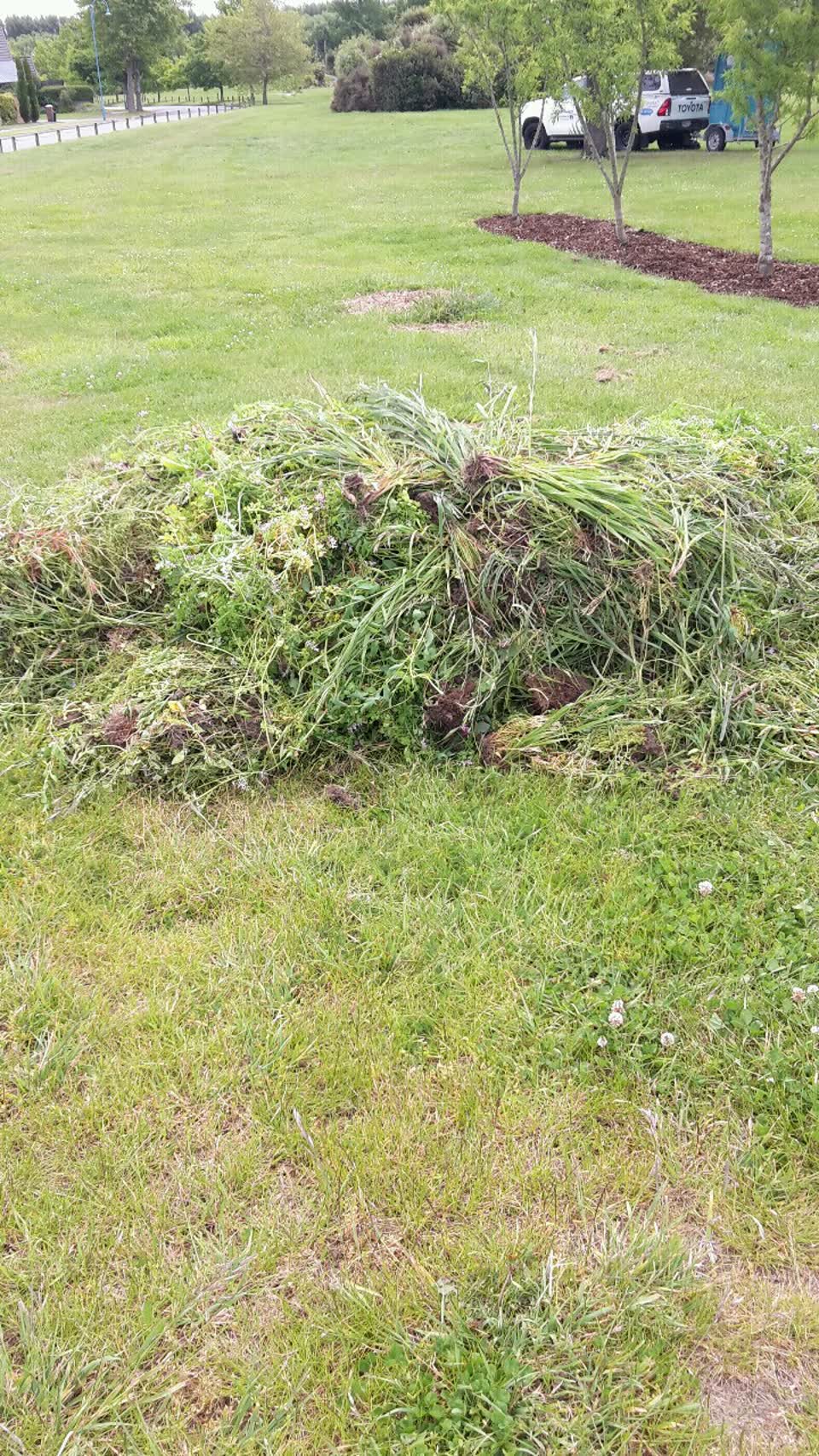 The photograph attached to this parks report