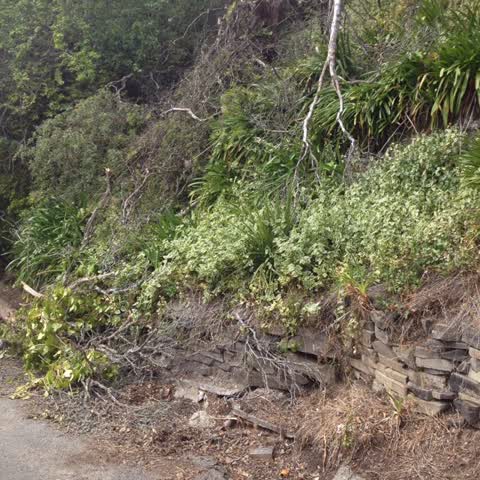Roading/Streets, a report photo