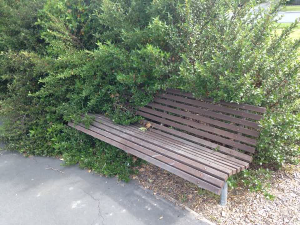 The photograph attached to this parks report