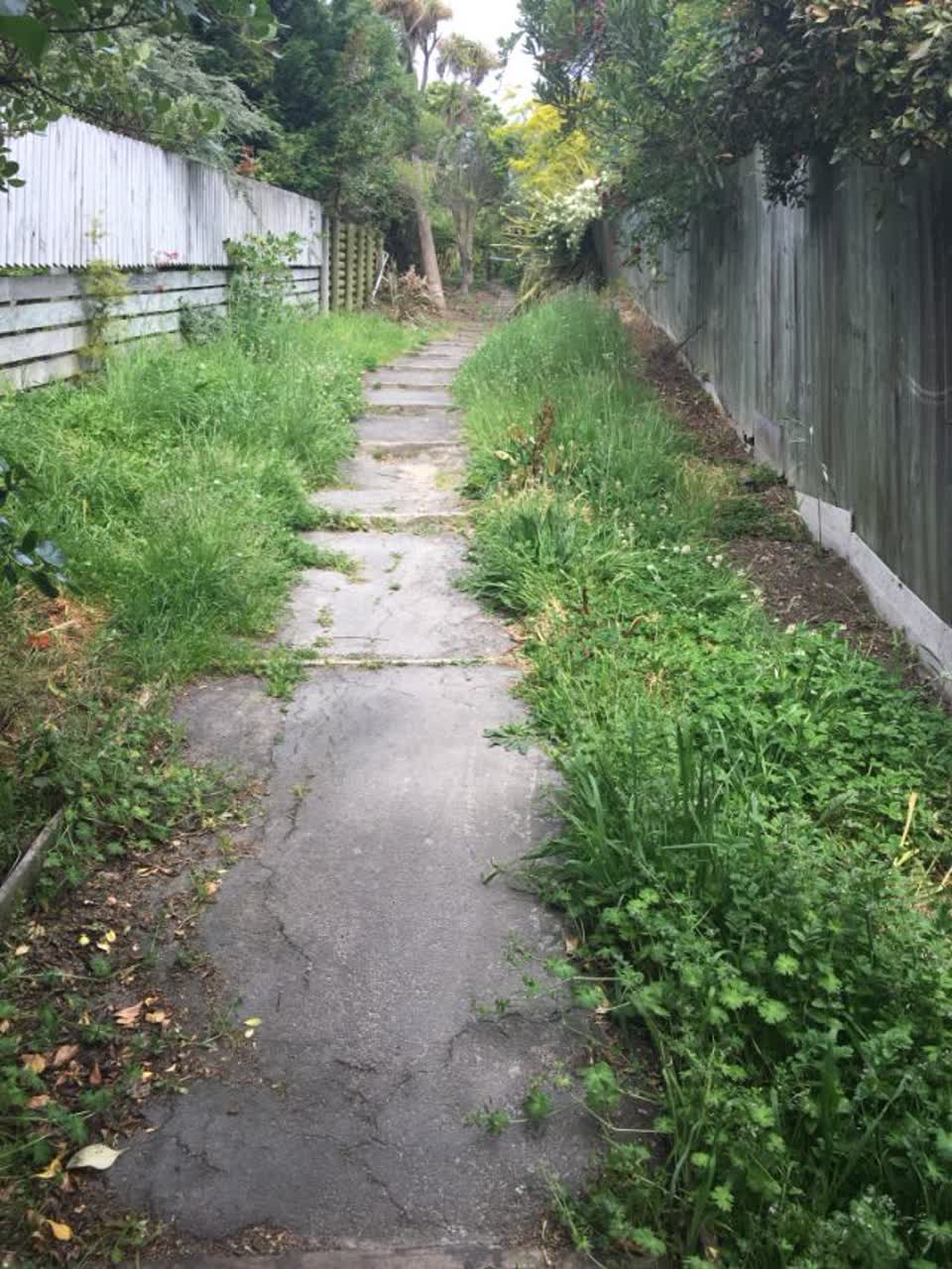 The photograph attached to this parks report