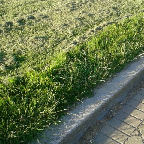 Parks, a report photo