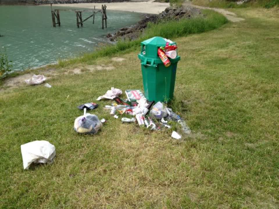 The photograph attached to this rubbish/recycling report