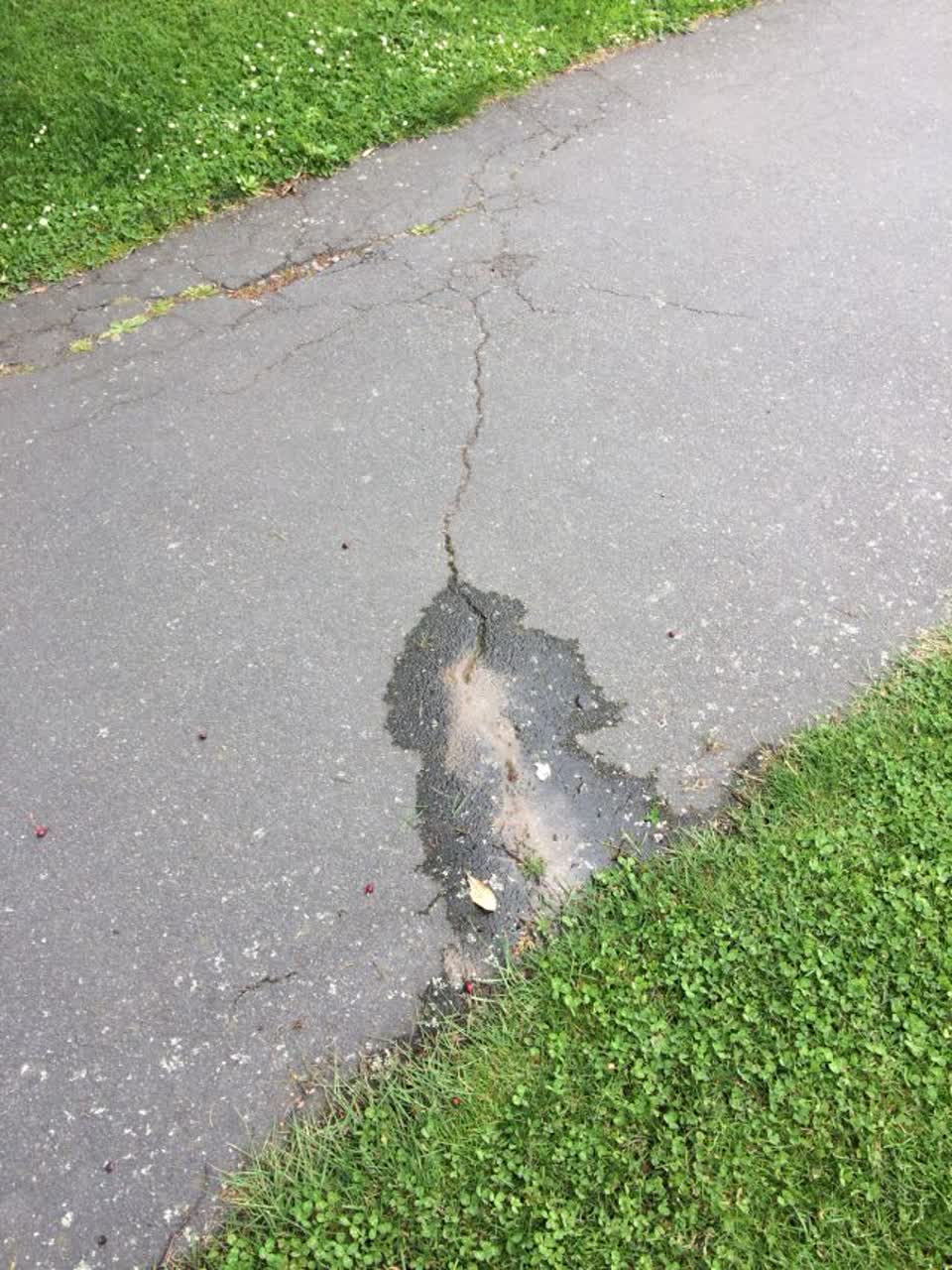 The photograph attached to this water supply report