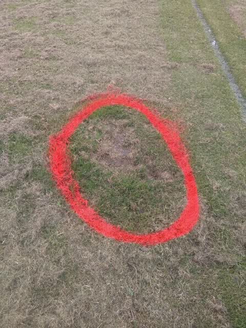 Parks, a report photo
