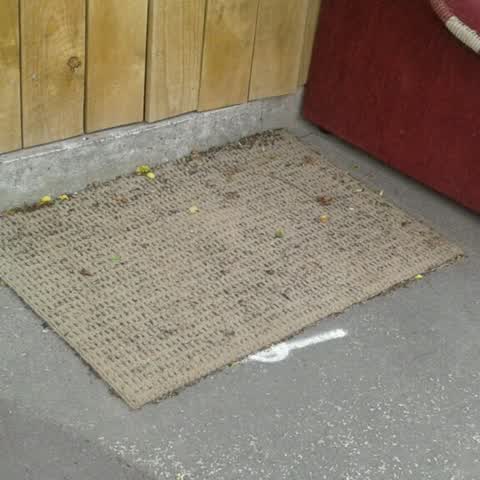 Rubbish/Recycling, a report photo