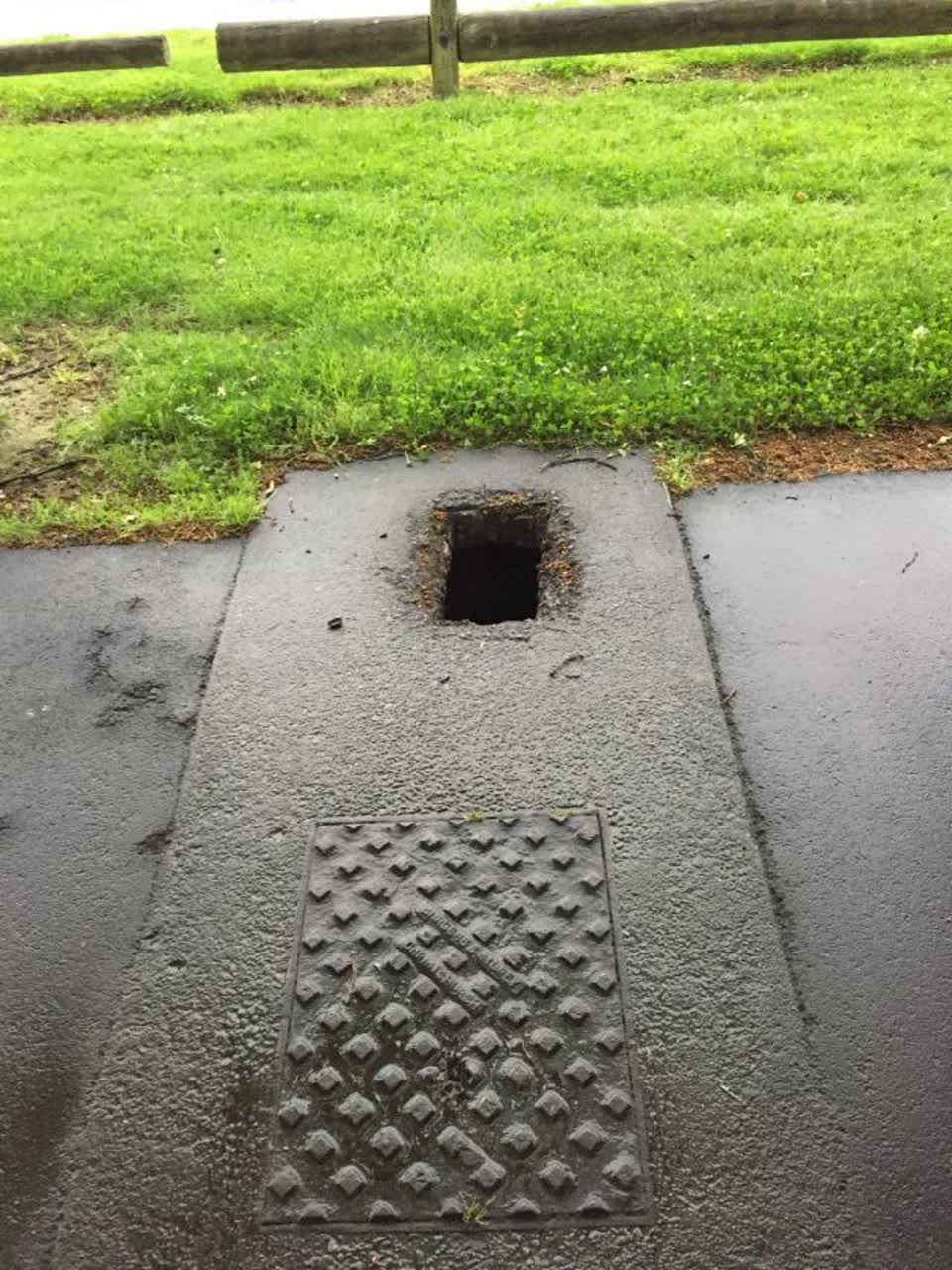 The photograph attached to this parks report
