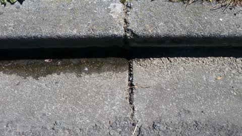 Roading/Streets, a report photo