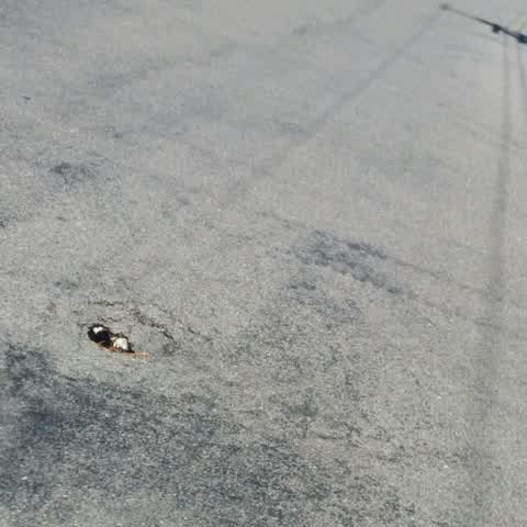 Roading/Streets, a report photo