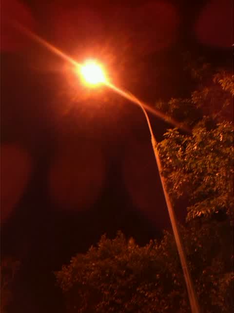 Roading/Streets, a report photo