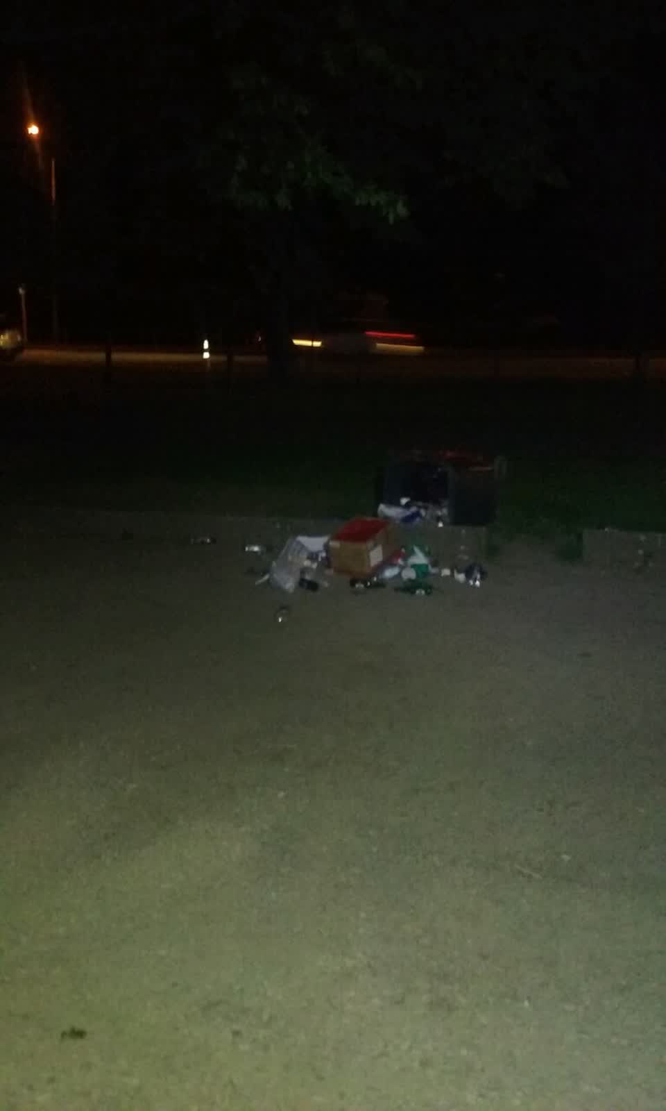 The photograph attached to this rubbish/recycling report