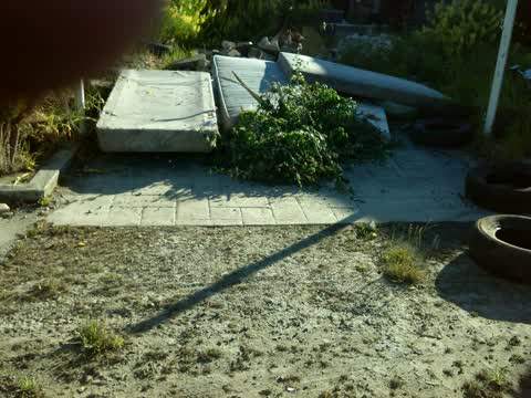 Rubbish/Recycling, a report photo